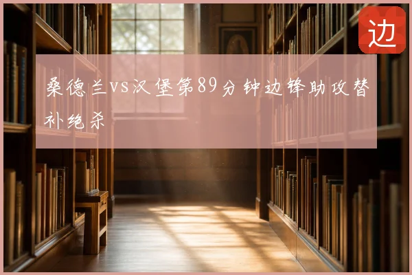 桑德兰vs汉堡第89分钟边锋助攻替补绝杀