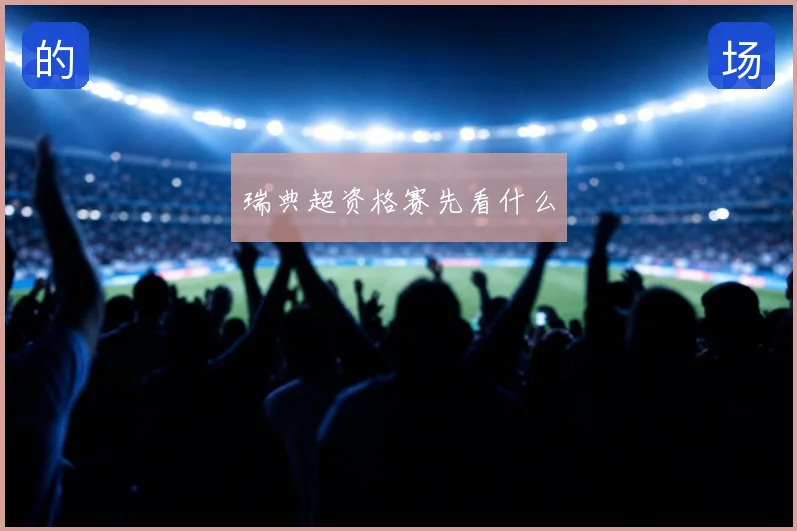 瑞典超资格赛先看什么